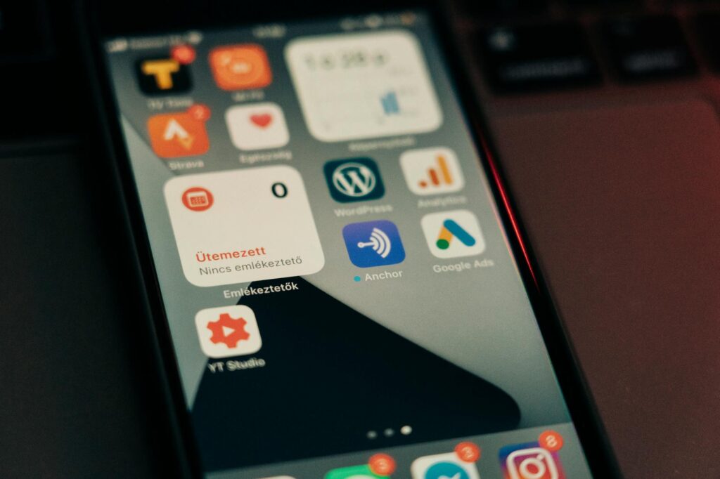 Comment vérifier si un site — capture d'écran tableau de bord WordPress