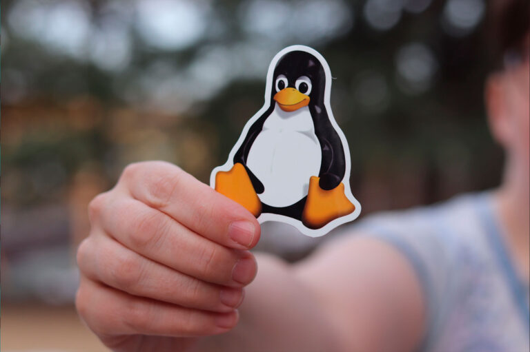 découvrez comment installer et configurer facilement un serveur local lampp sous linux pour développer vos sites web en environnement sécurisé et performant.