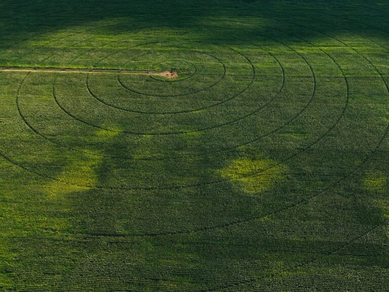Satellite IoT applications, technologies et — technologie IoT par satellite en agriculture