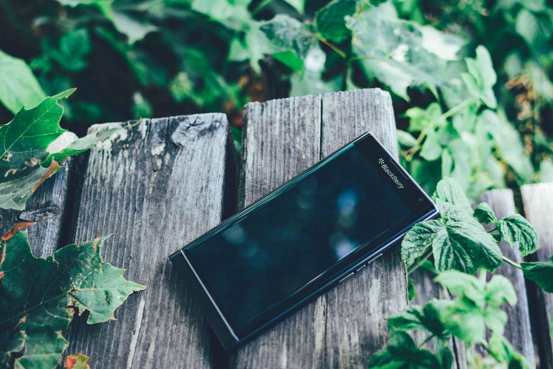 IoT environnemental et durabilité : de l’objet connecté à la nature connectée — dispositifs IoT environnementaux nature